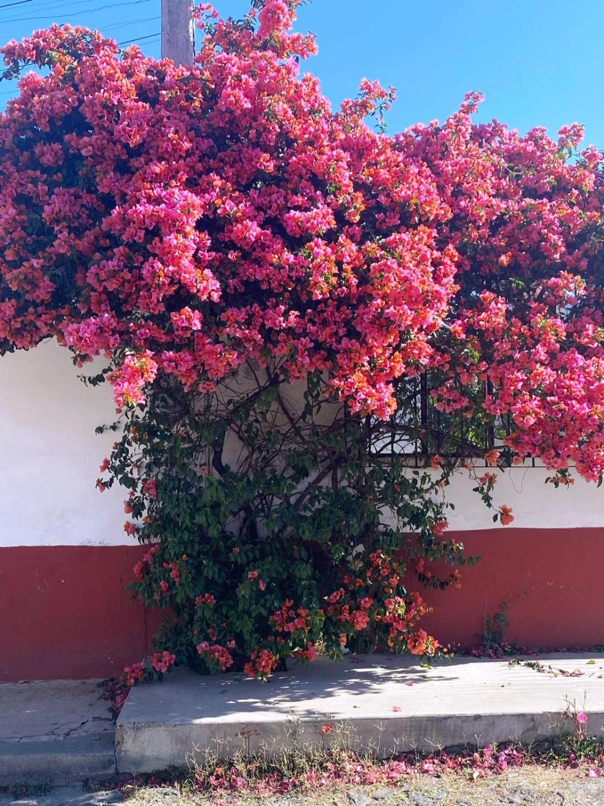 Hotel Posada Camelinas Пацкуаро Экстерьер фото